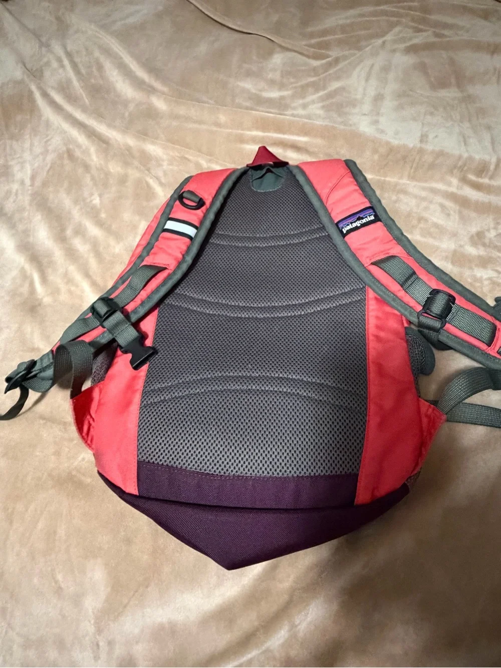 Patagonia Poco 12L Backpack in Red with Black Accents